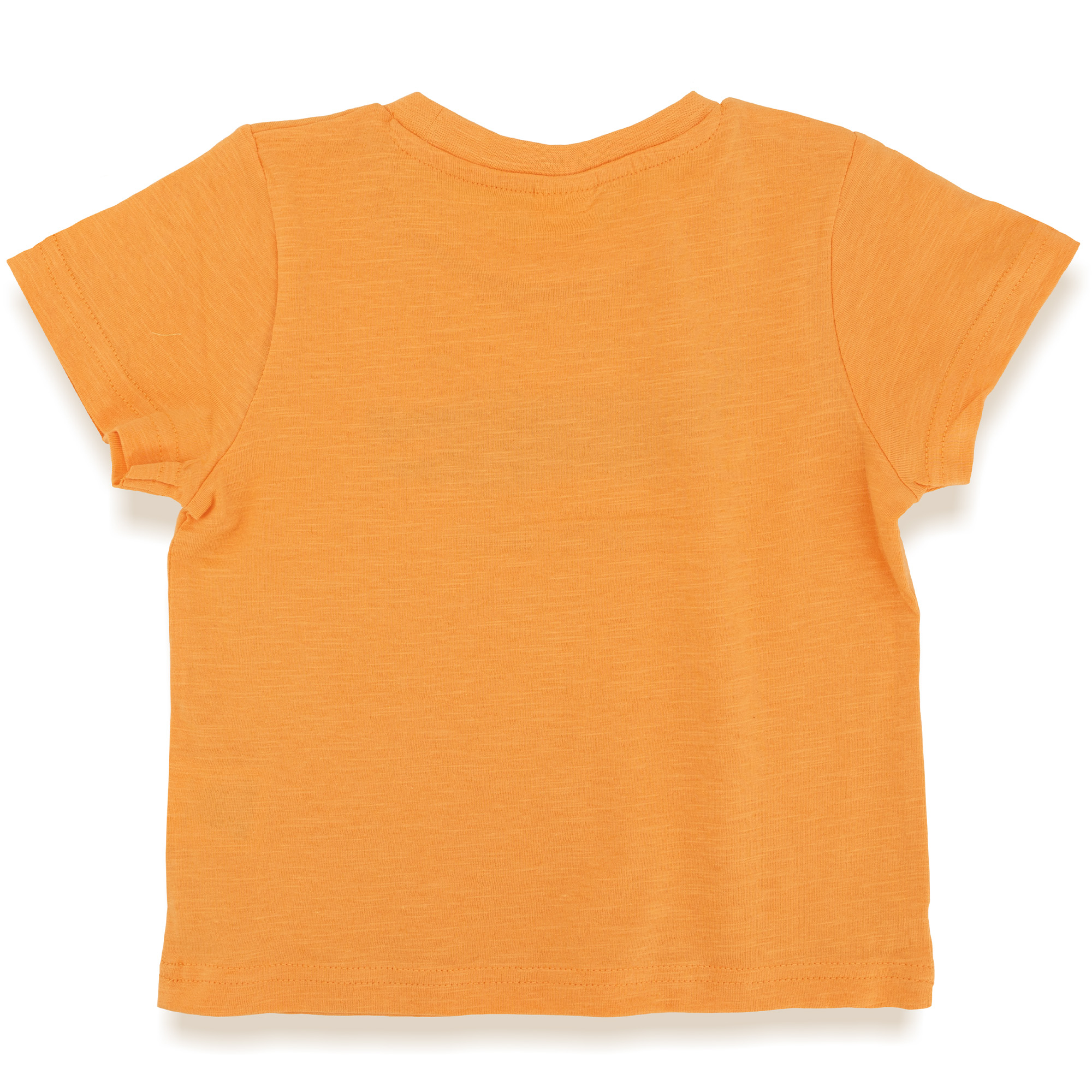 T-Shirt Krokodil LITTLE ONE Orange M2000586534607 2