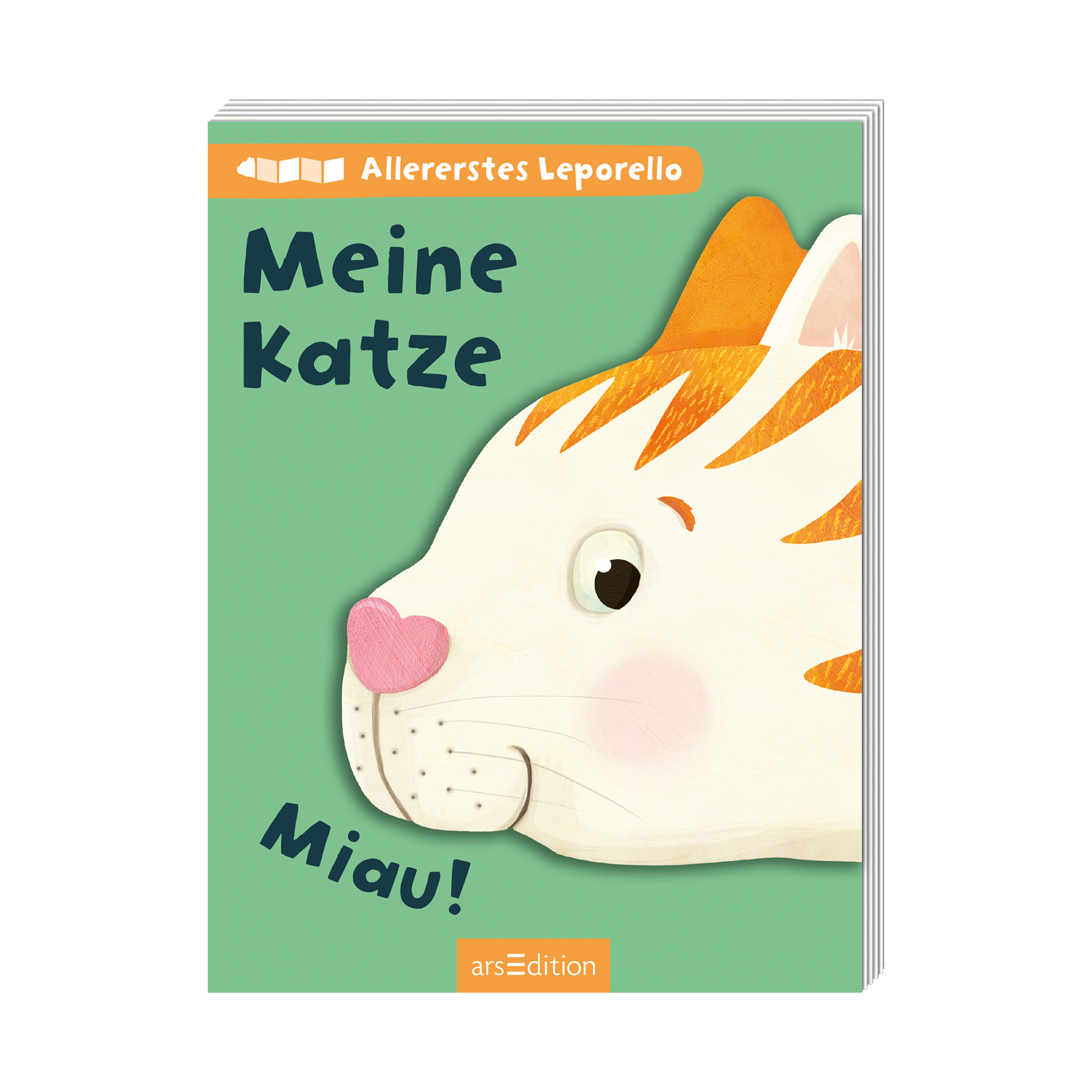 Allererstes Leporello - Meine Katze arsEdition Grün 2000584972807 1