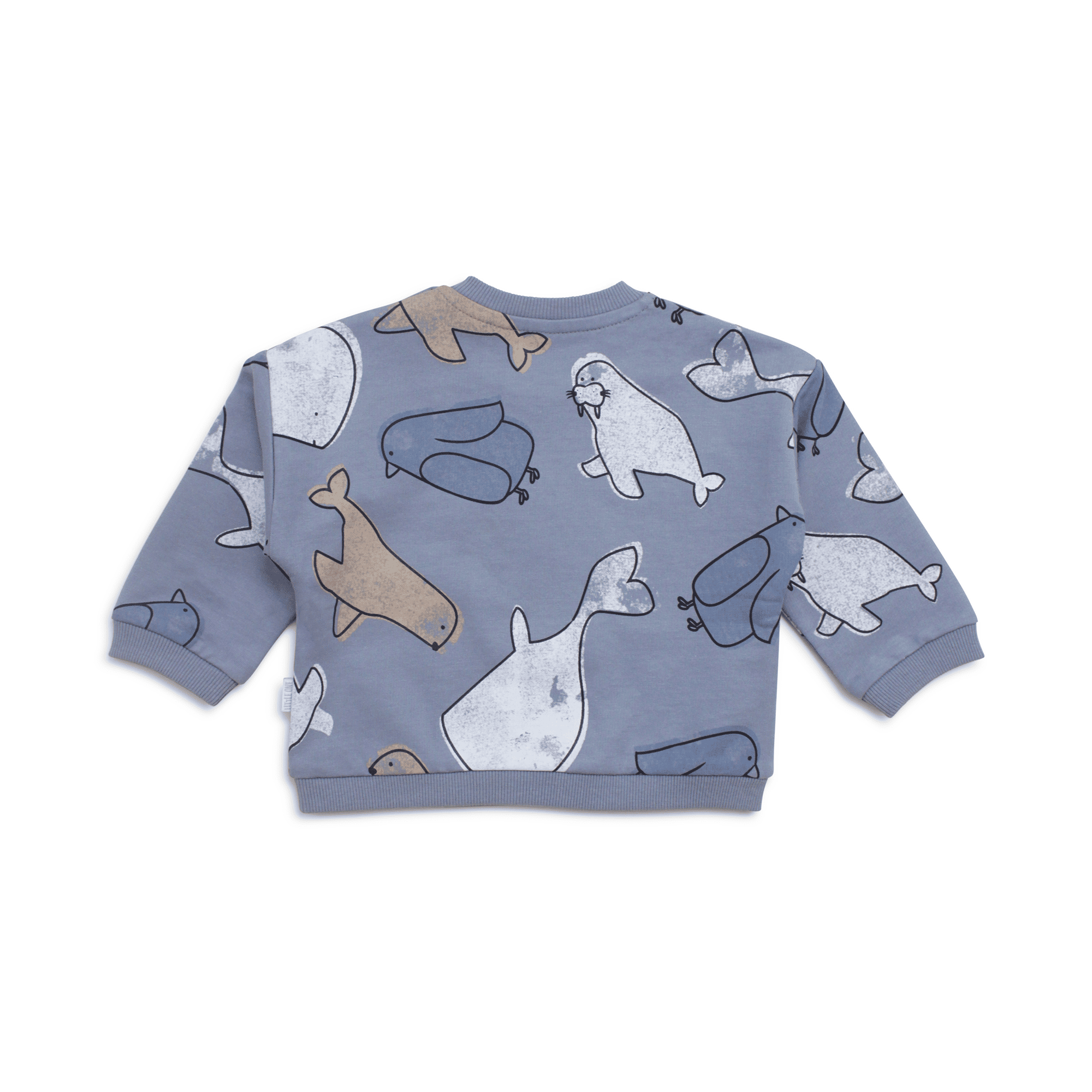 Sweatshirt Arctic Animals LITTLE ONE Blau M2000587223906 2