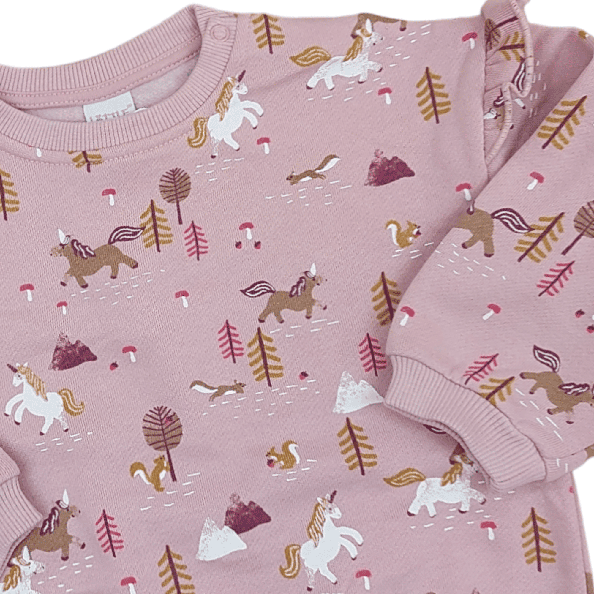 Sweatshirt Fantasy Forest LITTLE Rosa M2000586973406 2